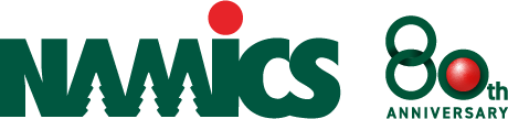 NAMICS